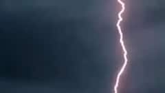 Know reason why lightning tragedies are rising in India