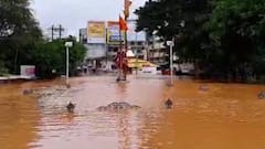 Maharashtra : कोल्हापूर, सांगली, आंबेघर, मिरगाव, सर्वत्र पावसाचा तडाखा, कुठे पूर तर कुठे भूस्खलन