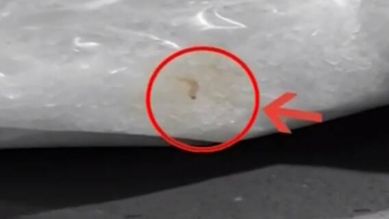 વડોદરા:માંજલપુર વિસ્તારના બિગ બજારનો મામલો, ખાંડના પેકેટમાંથી ઇયળ નીકળી