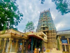 அழகர்கோவில் ஆடித்திருவிழா படிபூஜை சிறப்பு புகைப்படங்கள் !