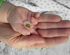 World IVF Day: आज जागतिक आयव्हीएफ दिन! अपत्य न होणाऱ्या जोडप्यांसाठी वरदान, काय आहे IVF? तज्ञांकडून जाणून घ्या...