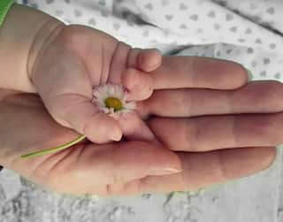 World IVF Day: आज जागतिक आयव्हीएफ दिन! अपत्य न होणाऱ्या जोडप्यांसाठी वरदान, काय आहे IVF? तज्ञांकडून जाणून घ्या...