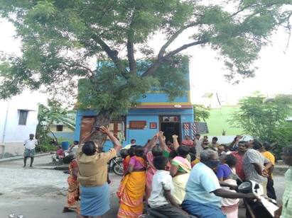 Milk oozes from neem tree people went with divine belief in a crowd வேலூர் : வேப்பமரத்தில் வடிந்த  பால்.. அம்மன்  பிரசாதம் என்று குவிந்த பக்தர்கள் கூட்டத்தால் பரபரப்பு..!