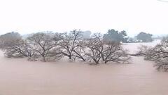 TOP 50 | आत्तापर्यंतच्या 50 महत्त्वाच्या बातम्यांचा वेगवान आढावा | बातम्यांचं अर्धशतक | 25 जुलै 2021