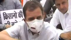 Rahul Gandhi drives tractor to reach Parliament in farmers' support; demands withdrawal of Farm laws