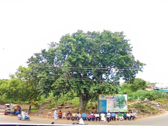 'ஆலமரத்துக்கு 102 வயசு' பிறந்தநாளை கொண்டாடி தீர்த்த சமூக ஆர்வலர்கள்.. !