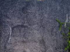 செங்கல்பட்டு : ஜேஷ்டாதேவி, மூத்த தேவி, மூதேவி... கண்டெடுக்கப்பட்டது 11-ஆம் நூற்றாண்டின் சோழர் கால சிலை..!