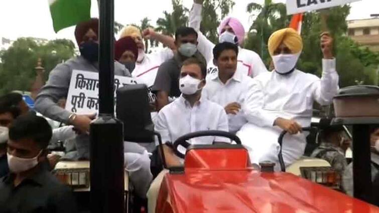 Rahul Gandhi Drives Tractor to Reach Parliament To Protest Against three Farm Laws Parliament Monsoon Session:কৃষি আইন প্রত্যাহারের দাবিতে ট্রাক্টর চালিয়ে সংসদের পথে রাহুল