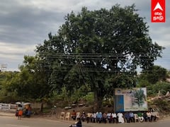 100 வயதை கடந்த ஆலமரம் - கேக் வெட்டி பிறந்தநாள் கொண்டாடிய மக்கள் | banyanTree | Madhurai | birthday |