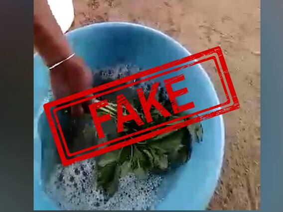 Viral Video : भाजीपाला दोन मिनिटांत फ्रेश करणार 'तो' व्हिडीओ खोटा, काय आहे सत्य? Viral Video : भाजीपाला दोन मिनिटांत फ्रेश करणार 'तो' व्हिडीओ खोटा, काय आहे सत्य?