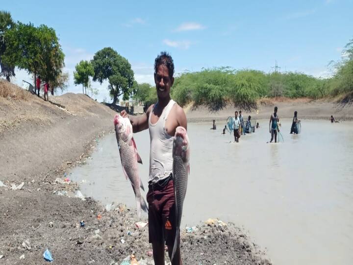 Thoothukudi people holding a fishing festival ’சேறு, சகதி, சந்தோஷம்’ மீனை பிடித்து திருவிழா நடத்திய மக்கள்..!