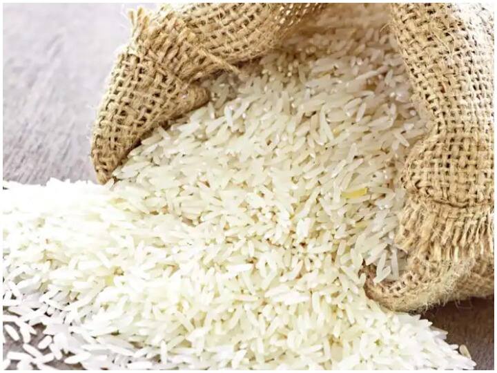 Insects are found in rice during rainy season here are these methods to get rid of them Rice Protection Tips: बरसात के दौरान चावल में लग जाते हैं कीड़े, निजात पाने के ये हैं उपाय