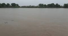 સૌરાષ્ટ્રના આ ગામમાં ઘોડાપુર, 10 ઇંચ વરસાદ ખાબકતા ખેતરો બેટમાં ફેરવાયા