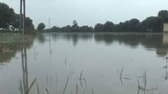 Mehsana: બહુચરાજી તાલુકામાં વરસ્યો ધોધમાર છ ઇંચ વરસાદ, આ ગામના ખેતરો બેટમાં ફેરવાયા