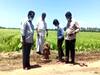 சாலை விரிவாக்க பணியின் போது கிடைத்த அம்மன் சிலை!