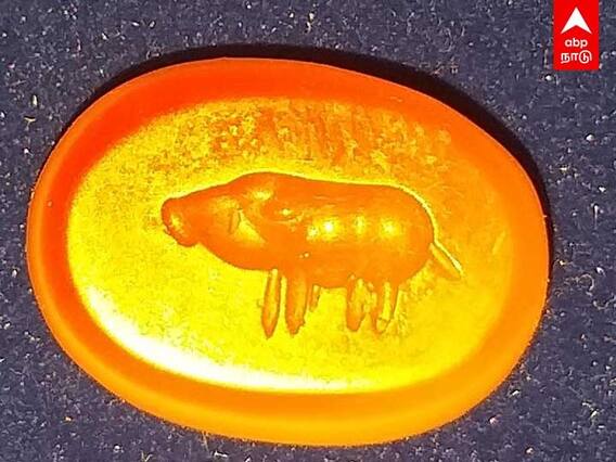 உறை கிணறுகள்..பானைகள்..வியக்கவைக்கும் கீழடி! | keeladi | keeladi Research | TamilNadu | sivagangai |