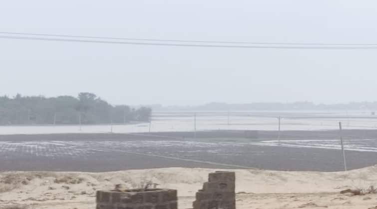 Heavy rains in Gujarat, rainfall in 240 talukas, maximum 8 inches in Lodhika ગુજરાતમાં મેઘરાજાની ધમાકેદર બેટિંગ, 240 તાલુકાઓમાં સાર્વત્રિક વરસાદ, લોધિકામાં સૌથી વધુ 8 ઇંચ વરસાદ