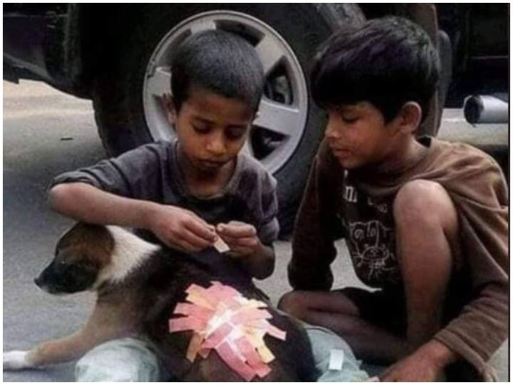 viral photo on internet two small boy giving medical treatment to a injured dog Viral Photo: कुत्ते को लगी चोट, तो सड़क पर खेल रहे बच्चों ने किया कुछ ऐसा कि फोटो हो गई वायरल