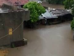 સૌરાષ્ટ્રના આ ગામમાં 2 કલાકમાં 12 ઈંચ વરસાદથી હાહાકાર, 150 પશું તણાયાં,તમામ ઘરમાં અનાજ પલળી જતાં ખાવાનાં ફાંફાં......