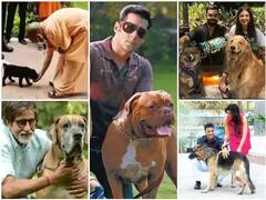 Pet Lovers: ਯੋਗੀ ਆਦਿੱਤਯਨਾਥ ਵਰਗੇ ਪੈੱਟ ਲਵਰਸ ਨੇ ਬਾਲੀਵੁੱਡ ਸਿਤਾਰੇ, ਦੇਖੋ ਤਸਵੀਰਾਂ