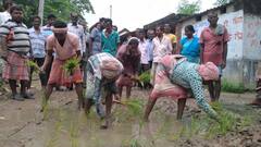২০ বছর আগে শেষ মেরামতি, বেহাল রাস্তায় গাছের চারা পুঁতে বিক্ষোভ গ্রামবাসীদের