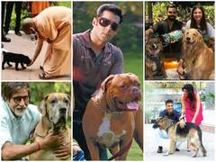 Pet Lovers: योगी आदित्यनाथ की ही तरह अमिताभ बच्चन से लेकर सलमान खान तक ये सेलेब्स भी हैं पेट लवर्स, देखिए तस्वीरें
