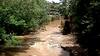Jayanti River : जयंती नदी ते जयंती नाला.. कोल्हापूरची जयंती नदी कशी बनली गटारगंगा? ABP Majha
