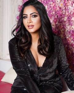 ਅਦਾਕਾਰਾ ਅਰਸ਼ੀ ਖਾਨ ਦੀ ਪੰਜਾਬੀ ਗੀਤ 'ਚ ਐਂਟਰੀ