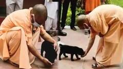 Pet Lovers: ਯੋਗੀ ਆਦਿੱਤਯਨਾਥ ਵਰਗੇ ਪੈੱਟ ਲਵਰਸ ਨੇ ਬਾਲੀਵੁੱਡ ਸਿਤਾਰੇ, ਦੇਖੋ ਤਸਵੀਰਾਂ