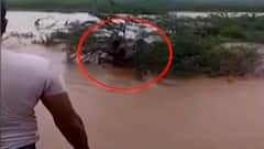 Kolhapur Flood : कोल्हापुरातील खिद्रापूर येथे पुरात वाहून गेलेला शेतकरी झुडुपात अडकल्यानं वाचला