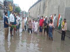 कांग्रेस का अनोखा प्रदर्शन, जलभराव वाली सड़क पर धान की रोपाई की