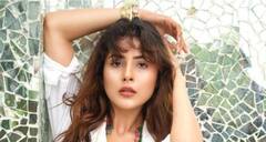 Dabboo Ratnani ਦੇ ਫੋਟੋਸ਼ੂਟ 'ਚ ਨਜ਼ਰ ਆਇਆ Shehnaaz Gill ਦਾ ਰੇਨਬੋ ਸਟਾਈਲਿਸ਼ ਅੰਦਾਜ਼, ਦੇਖੋ ਤਸਵੀਰਾਂ