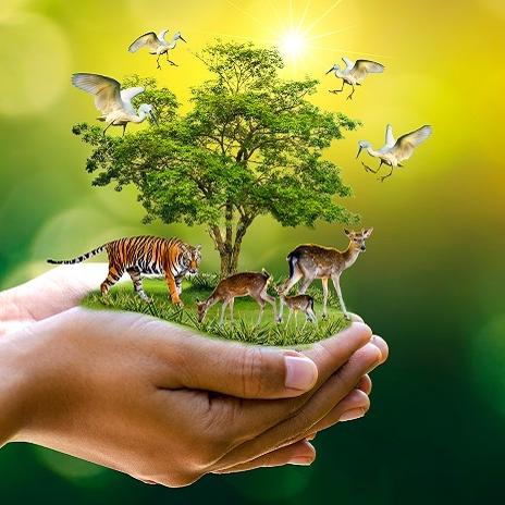 World Nature Conservation Day:జులై 28-ప్ర‌పంచ ప్రకృతి పరిరక్షణ దినం