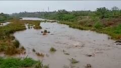 આપણી ખબર: દક્ષિણ ગુજરાતમાં હળવા વરસાદની સંભાવના, હવામાન વિભાગની આગાહી,જુઓ મહત્વના સમાચાર