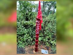 स्फोटकांचा साठा हस्तगत, नक्षल सप्ताहाच्या पार्श्वभूमीवर गडचिरोली पोलिसांची मोठी कारवाई