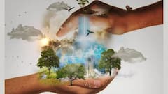 World Nature Conservation Day 2021: বিশ্ব প্রকৃতি সংরক্ষণ দিবসে এই কাজগুলো করা শুরু করুন