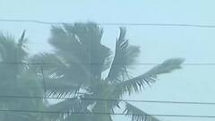 TOP 50 | पुढील 5 दिवस मुसळधार पावसाची शक्यता | बातम्यांचं अर्धशतक | 28 जुलै 2021