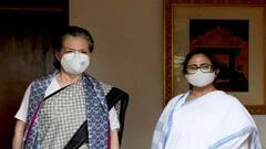 Sonia-Mamata Meeting: আমি লিডার না, ক্যাডার, স্ট্রিট কা আদমি, বললেন মমতা