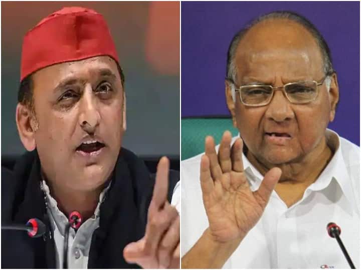 NCP, SP ally to fight UP Assembly Election 2022 together, Akhilesh Yadav and Sharad Pawar UP Assembly Election 2022: यूपी में समाजवादी पार्टी के साथ गठबंधन कर चुनाव लड़ेगी शरद पवार की पार्टी