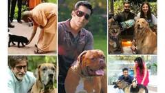Celebrity Pet Lovers: পোষ্যপ্রেমী ওরা, মন্ত্রী থেকে বলিউড তারকা ও ক্রিকেটাররা মজে ওদের প্রিয় পোষ্যের সঙ্গে