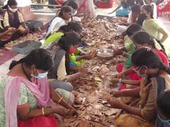 திண்டுக்கல் : 1 கோடியை தாண்டியது, பழனி முருகன் கோவில் வருவாய்..!