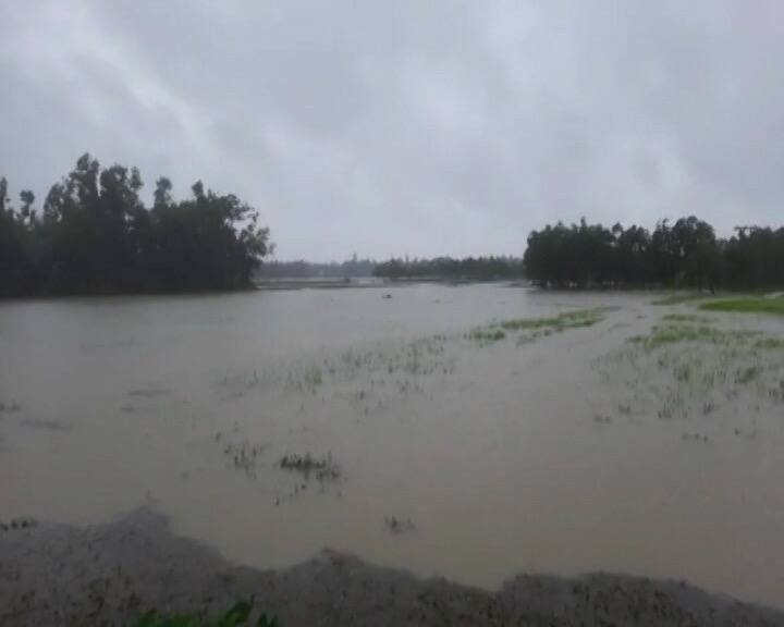 বৃষ্টিতে জলমগ্ন নন্দীগ্রাম। হলদিয়া টাউনশিপের একাধিক বাড়ি ও আবাসনে জল ঢুকেছে।