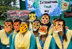International Tiger Day 2021: নিরাপদ বাসস্থান থেকে বাস্তুতন্ত্রের ভারসাম্য, দেশজুড়ে বাঘ সংরক্ষণের বার্তা প্রধানমন্ত্রীর