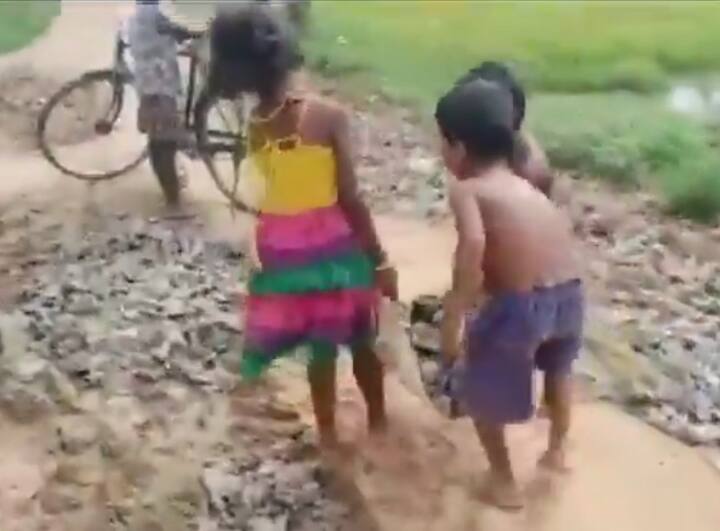 Children from Odisha repair roads by collecting stones, bricks from around. Video: ओडिशा में सड़क की मरम्मत करते बच्चों का वीडियो वायरल, पत्थर इकट्ठे करके गड्ढों में डाले