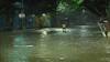 Rain in Kolkata: বৃষ্টির জমা জল নামাতে তৎপর কলকাতা পুরসভা, বিভিন্ন জায়গায় বসানো হয়েছে অস্থায়ী পাম্প