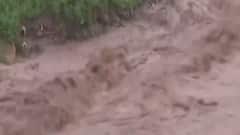 Horrific visuals of monsoon fury from across the country