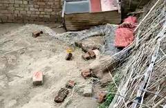 बांध से निकलकर गांव में आ गया 8 फुट लंबा मगरमच्छ, कड़ी मशक्कत के बाद वन विभाग ने किया रेस्क्यू