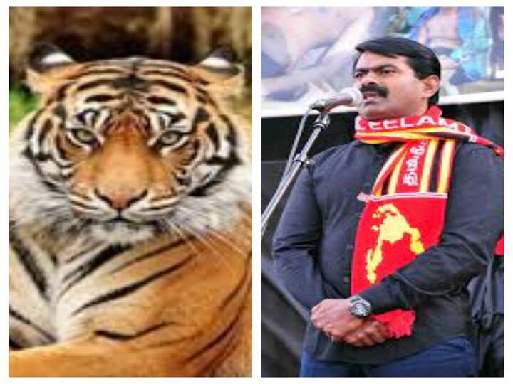International Tiger Day 2021: புலிகளின் அழிவு ஒரு வனத்தின் அழிவு - சர்வதேச புலிகள் தினத்தையொட்டி சீமான் அறிக்கை International Tiger Day 2021 Destruction of tigers is the destruction of a forest NTK Leader Seeman statement International Tiger Day 2021: புலிகளின் அழிவு ஒரு வனத்தின் அழிவு - சர்வதேச புலிகள் தினத்தையொட்டி சீமான் அறிக்கை