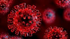 India Covid Updates: স্বস্তি! গত ২৪ ঘণ্টায় দেশে সামান্য কমল করোনা সংক্রমণ