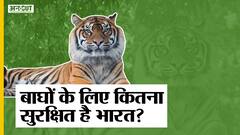 अंतर्राष्ट्रीय बाघ दिवस: विश्व के 70% बाघ का घर भारत,, लेकिन 36% मौतें अवैध शिकार के चलते